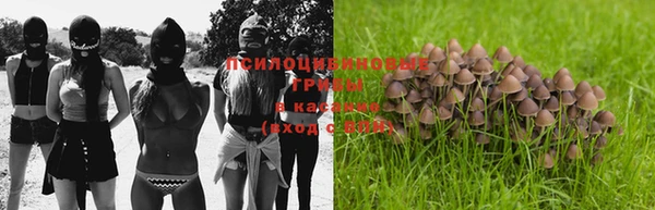 кокаин колумбия Алексин